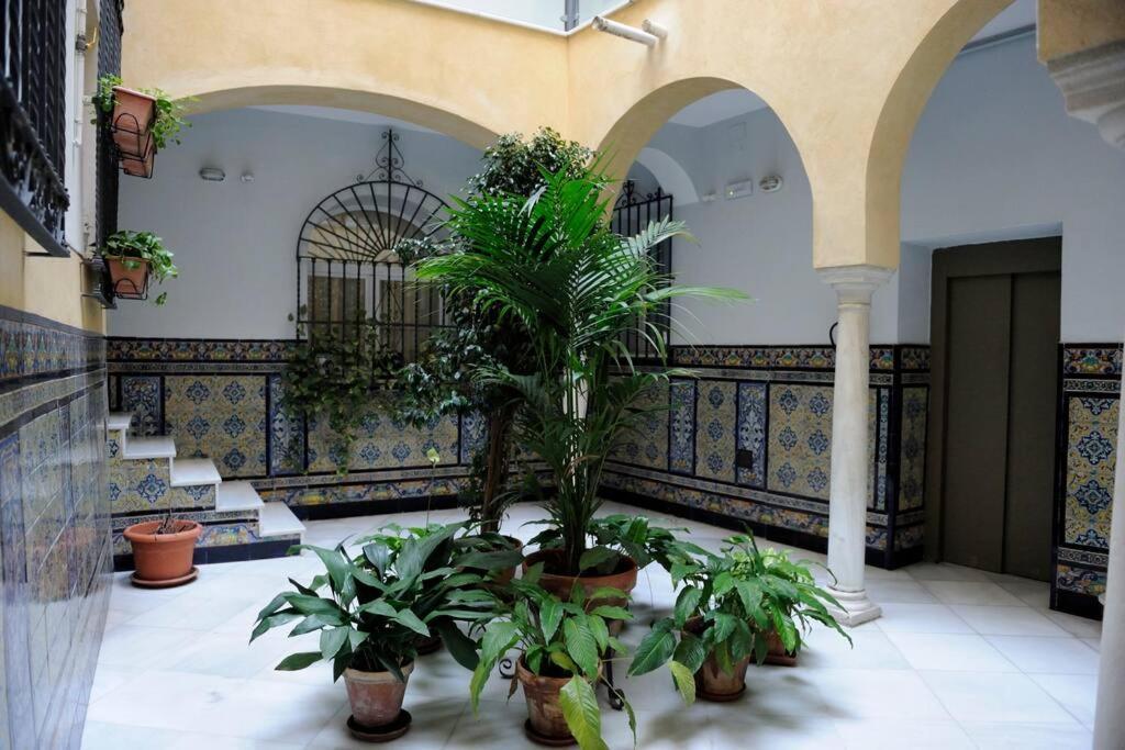 Museo De Bellas Artes Appartement Séville