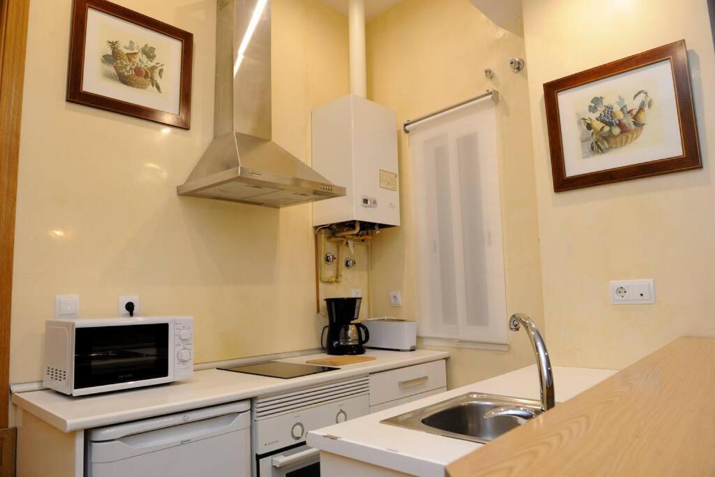 Museo De Bellas Artes Appartement *