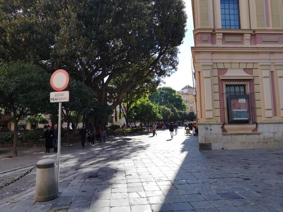 Appartamento Museo De Bellas Artes *